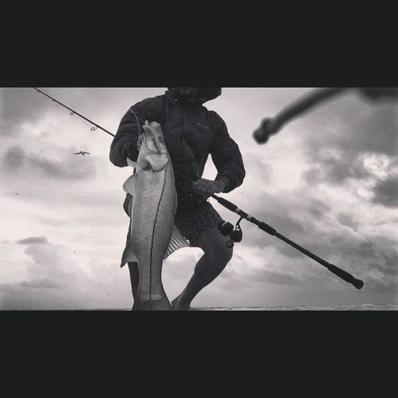 Meet your Posher, Phil - Picture 1 of 1